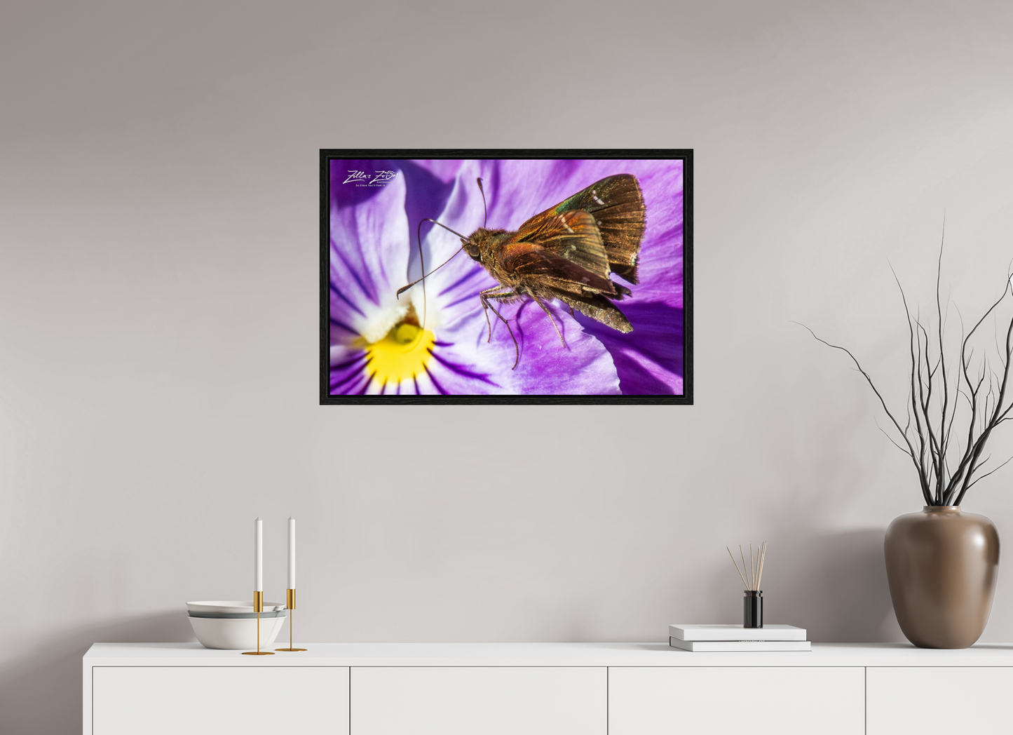 30 x 20″, Floater Frame Zillas Zoom Image 59