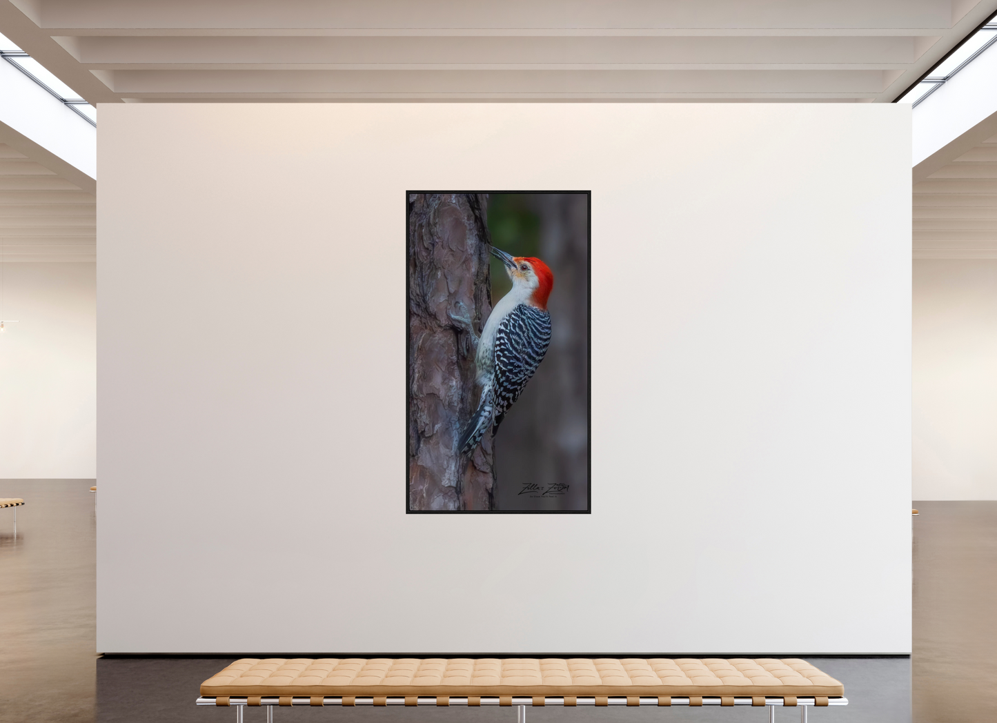 45 x 80″, Floater Frame Zillas Zoom Image 445