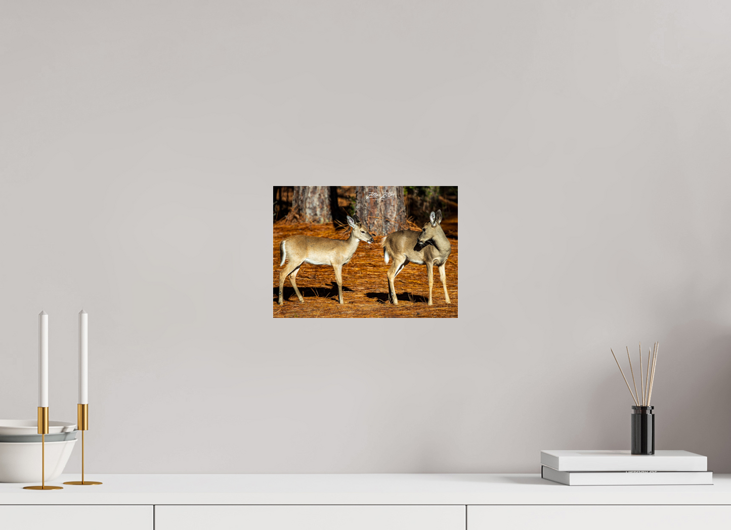 11.2 x 8″, Photo Print Under Acrylic Glass Zillas zoom image 143