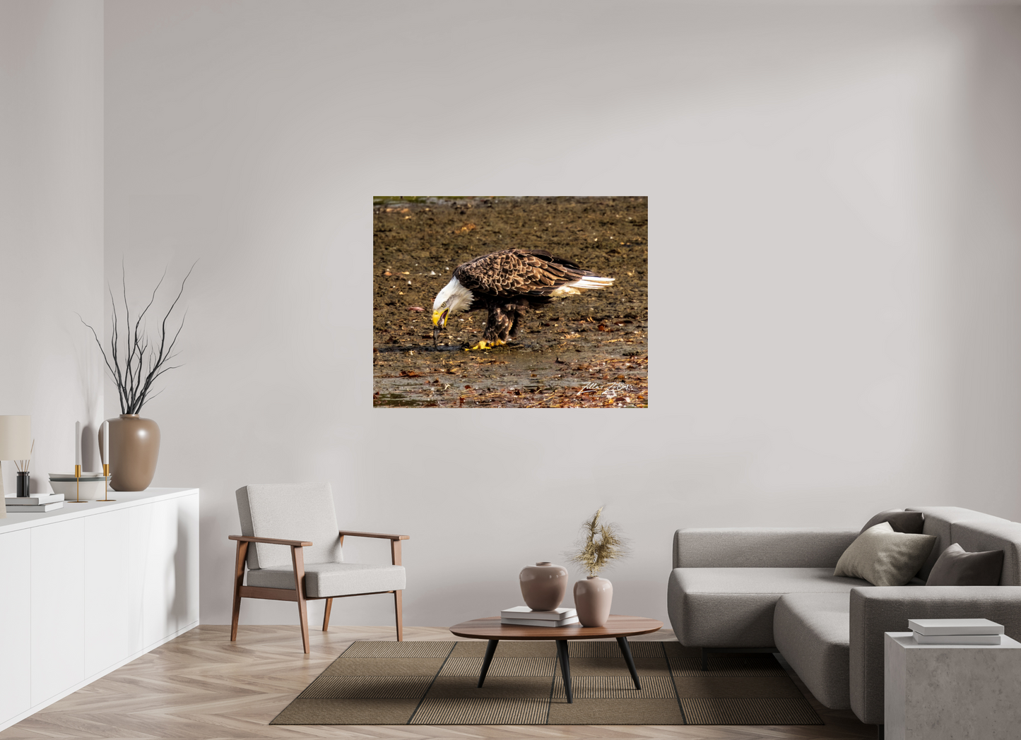 55.6 x 43″, Photo Print Under Acrylic Glass Zillas Zoom Image 306