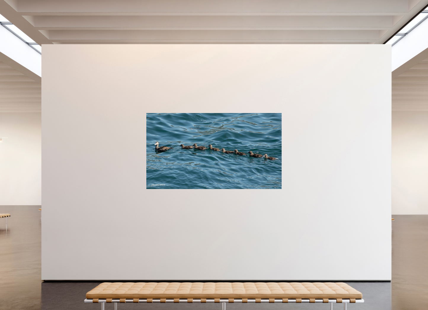 80 x 45″, Photo Print On Fuji Crystal DP II Zillas Zoom Image 354