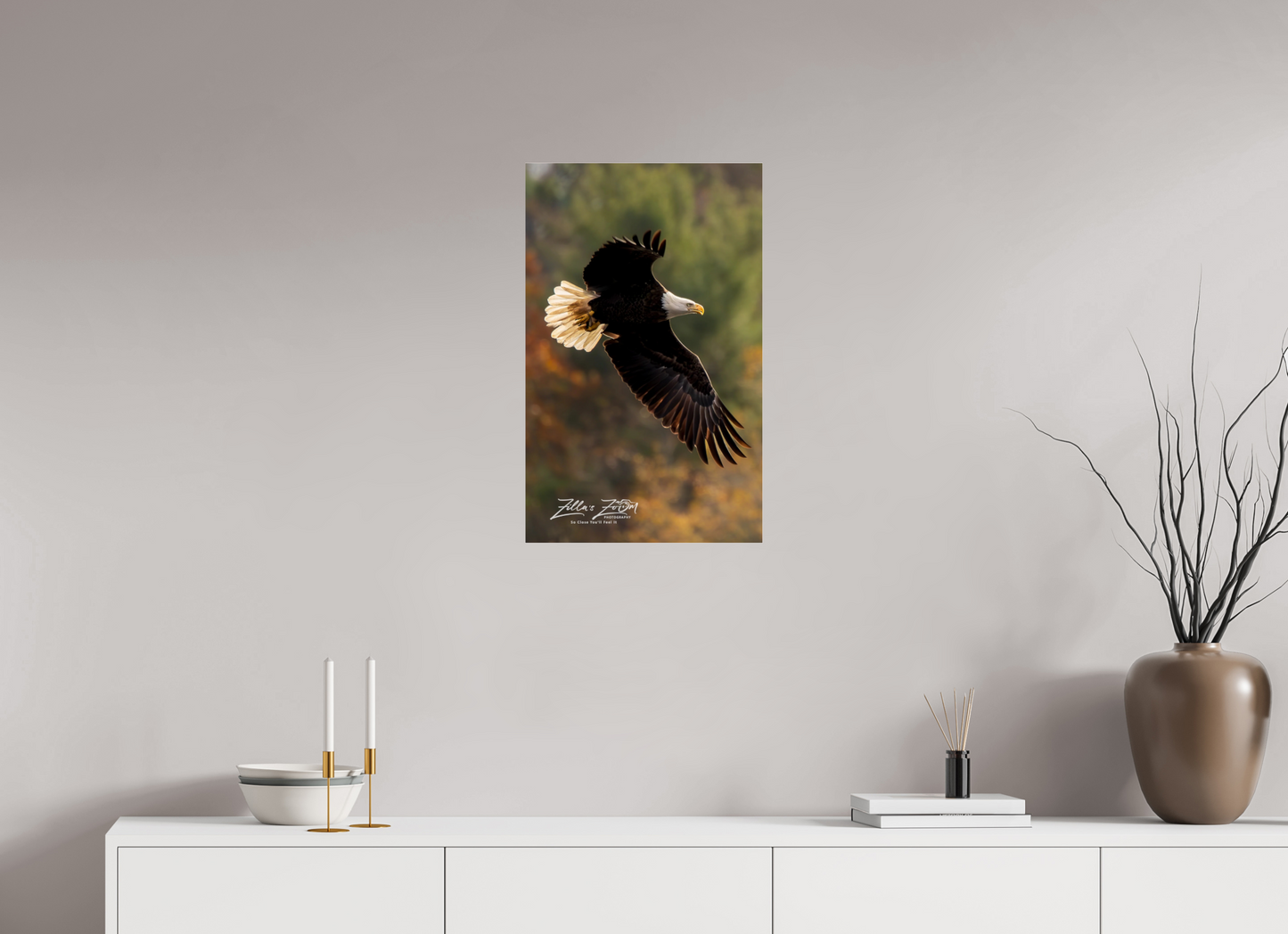 16 x 25.6″, Photo Print Under Acrylic Glass Zillas Zoom Image 416
