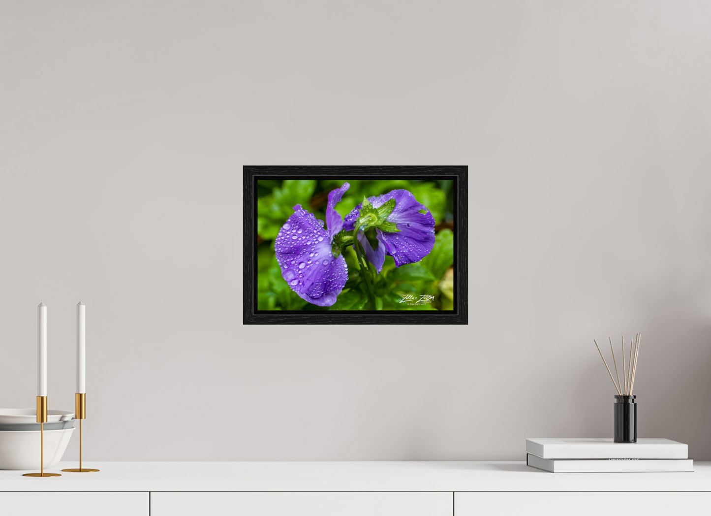 12 x 8″, Floater Frame Zillas Zoom Image 93