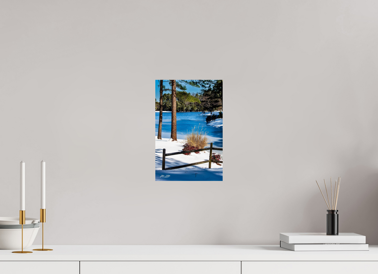 8 x 12″, Photo Print On Fuji Crystal DP II Zillas Zoom Image 253