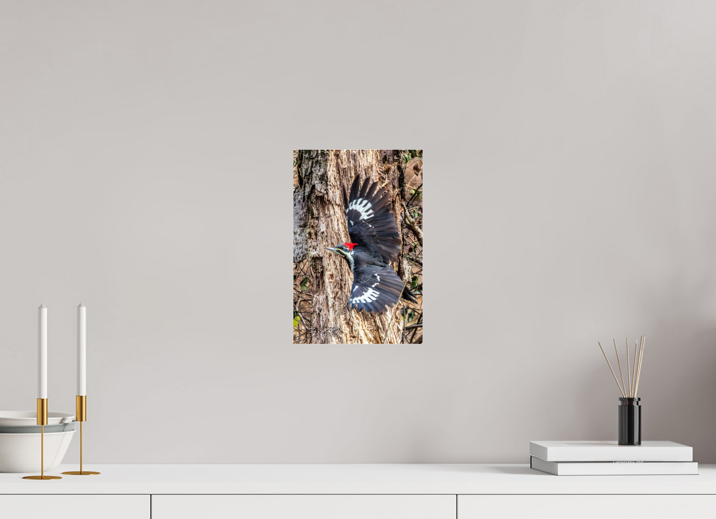 8 x 12″, Photo Print Under Acrylic Glass Zillas Zoom Image 418