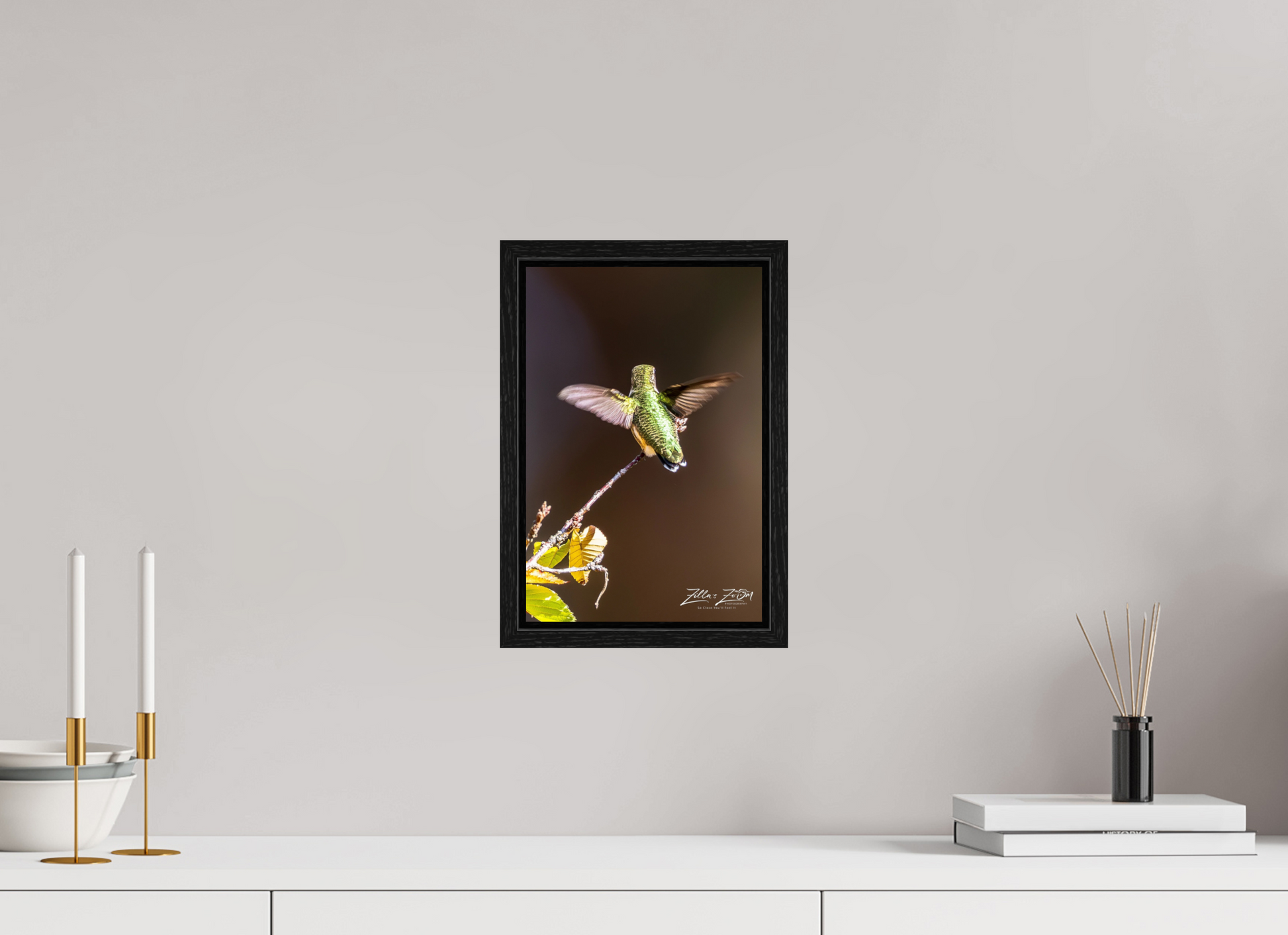 8 x 12″, Floater Frame Zillas Zoom Image 440