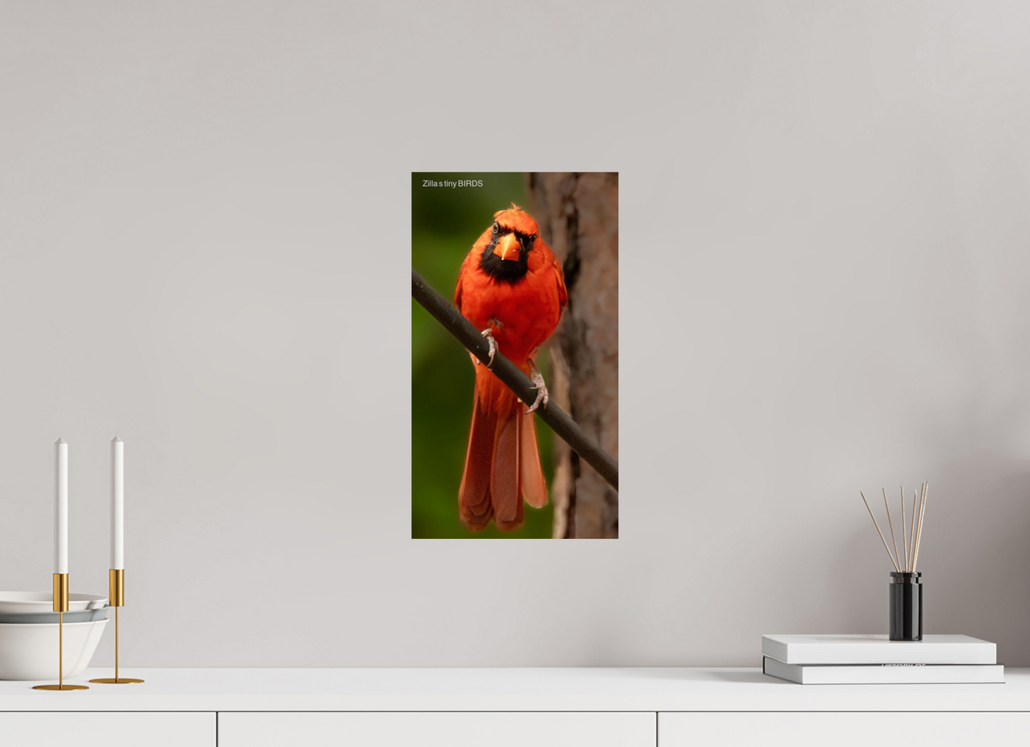 9 x 16″, Photo Print On Fuji Crystal DP II Zillas Zoom Image 484