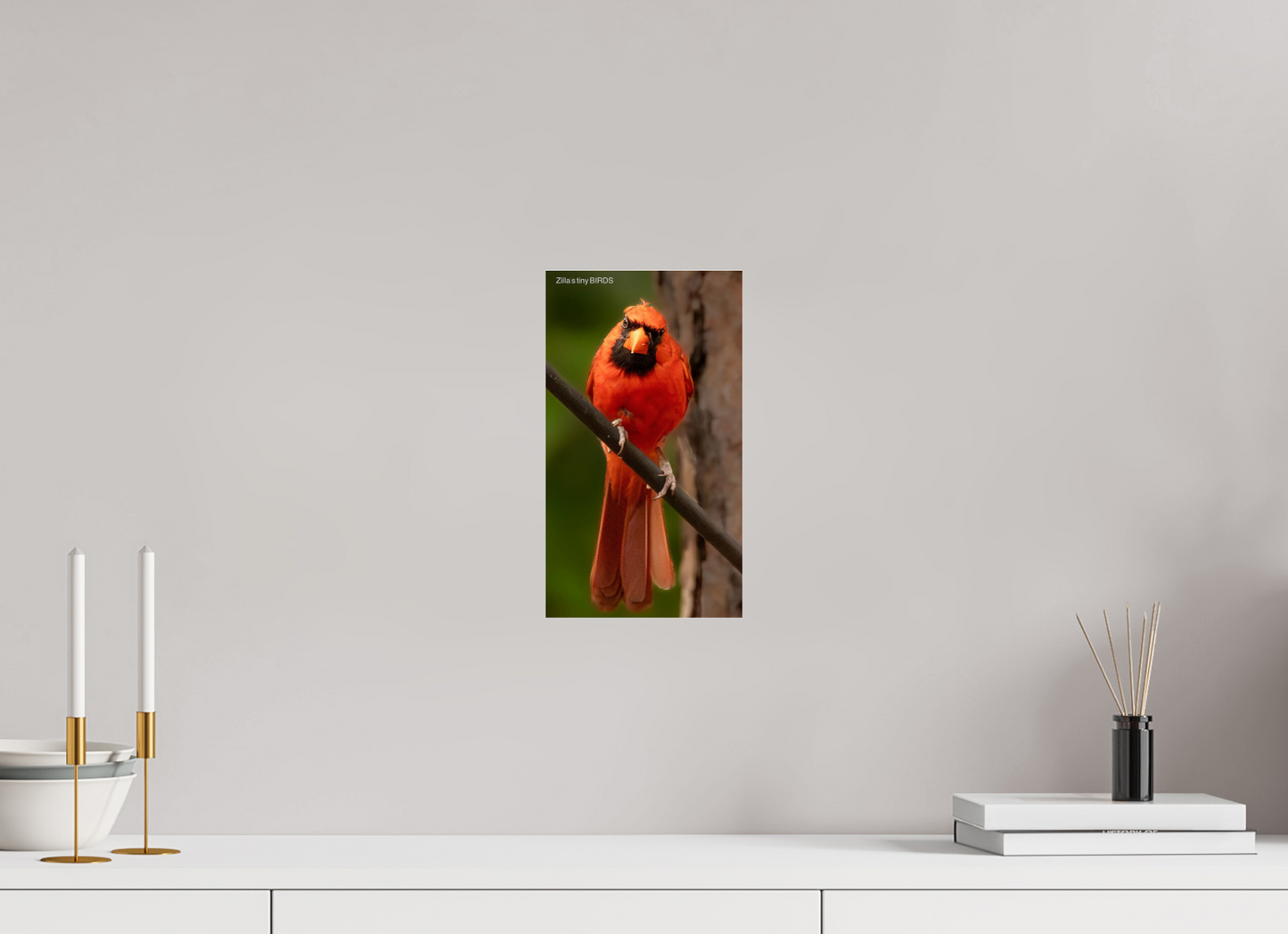 6.8 x 12″, Photo Print Under Acrylic Glass Zillas Zoom Image 484