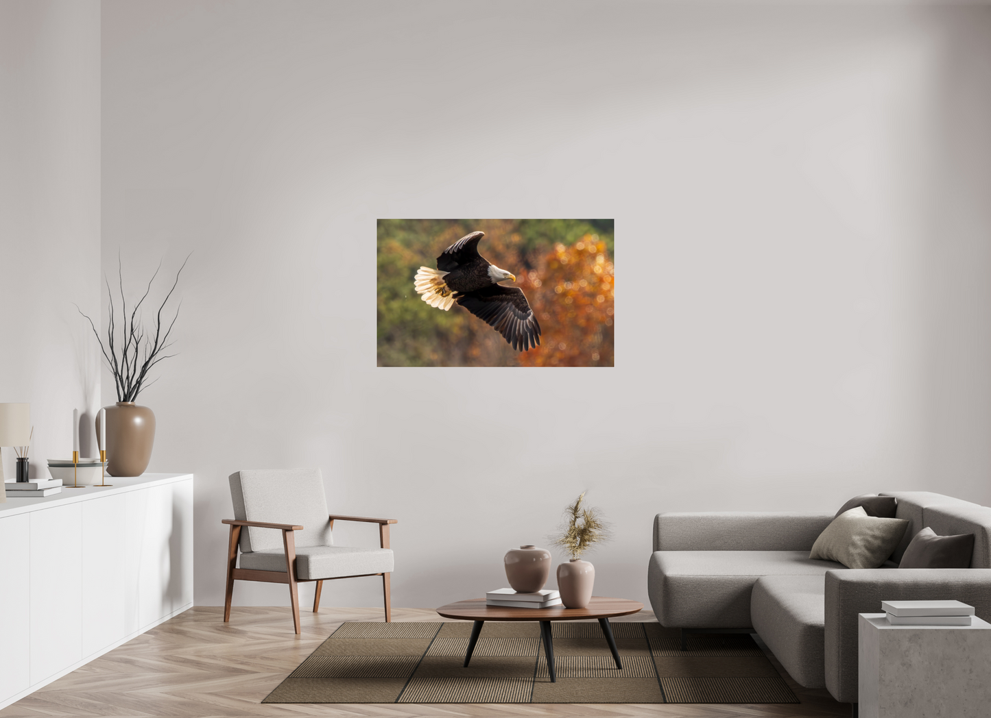 49.6 x 31″, Photo Print Under Acrylic Glass Zillas Zoom Image 396