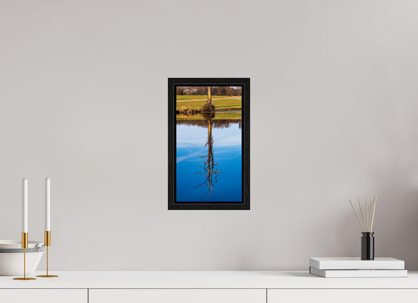 6.8 x 12″, Floater Frame Zillas Zoom Image 247