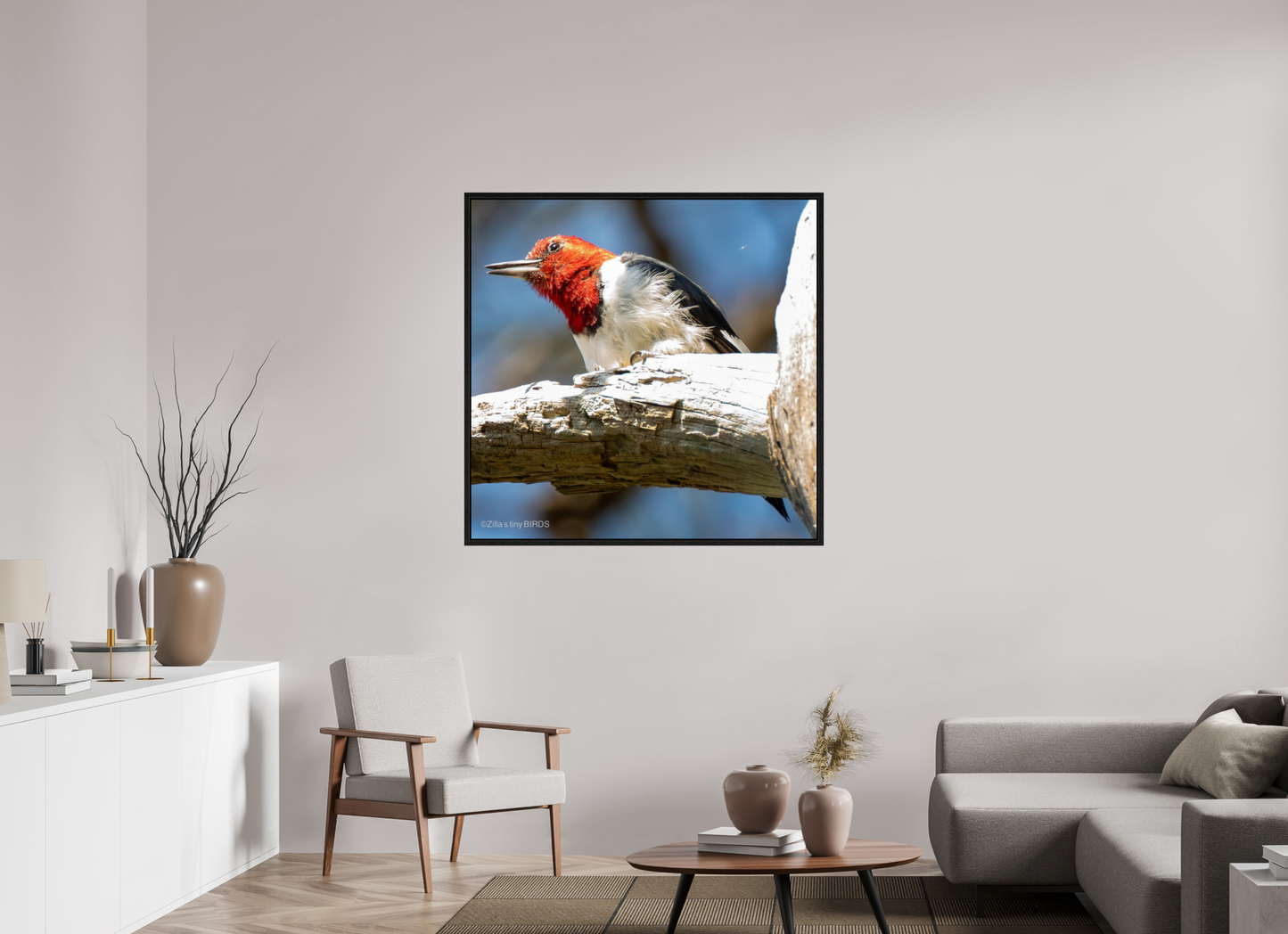 43.8 x 43″, Floater Frame Zillas Zoom Image 273