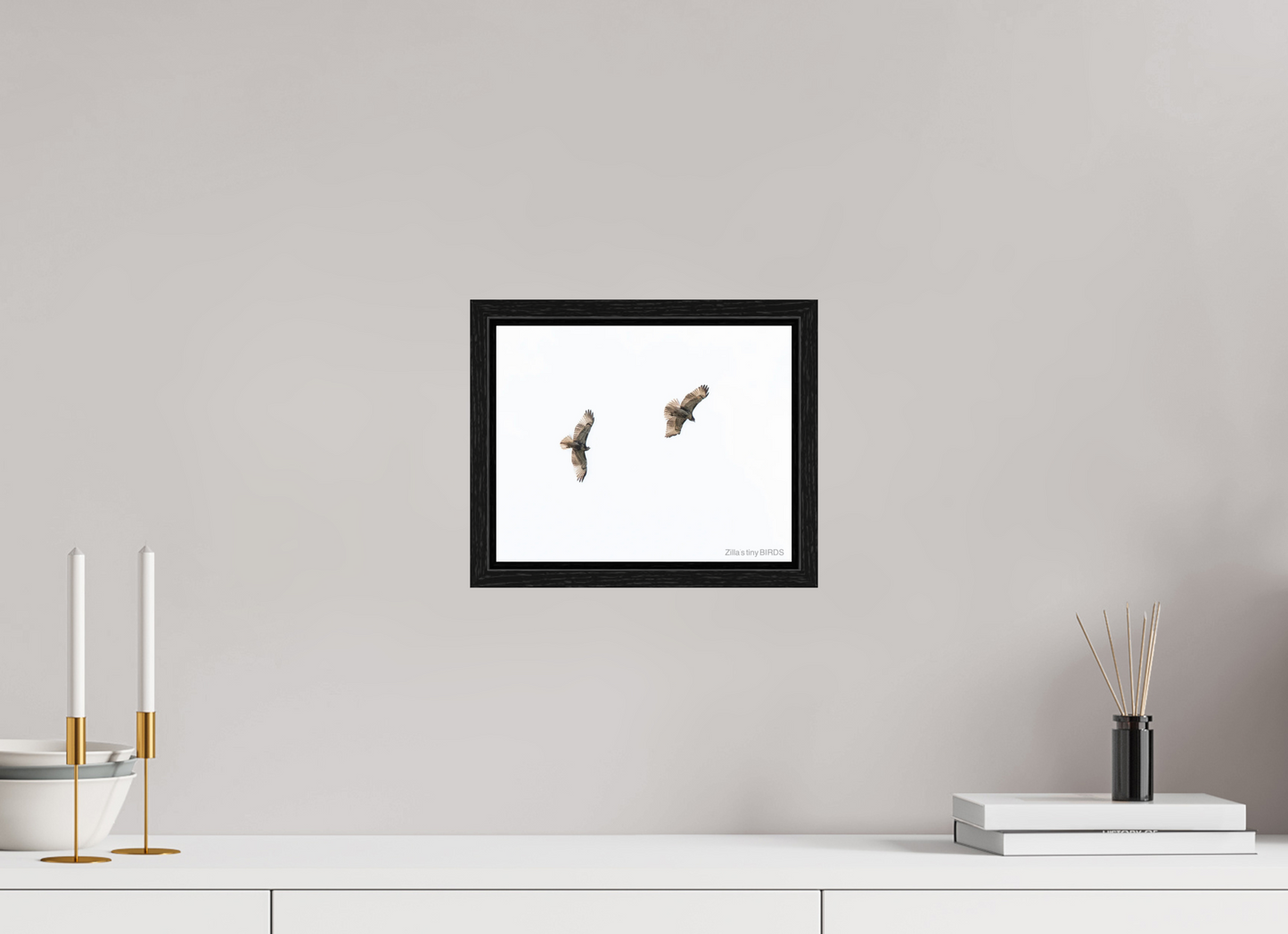 10 x 8″, Floater Frame Zillas Zoom Image 371