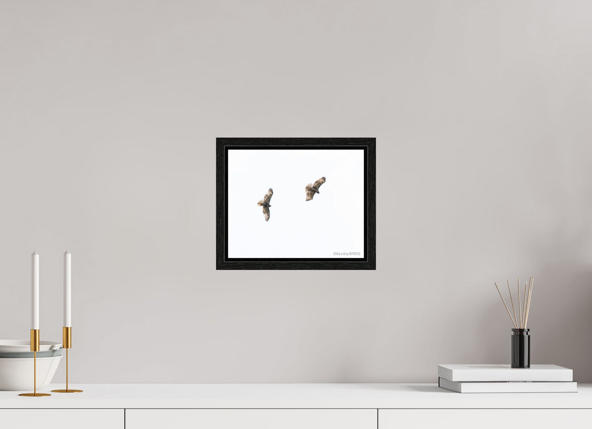 10 x 8″, Floater Frame Zillas Zoom Image 371
