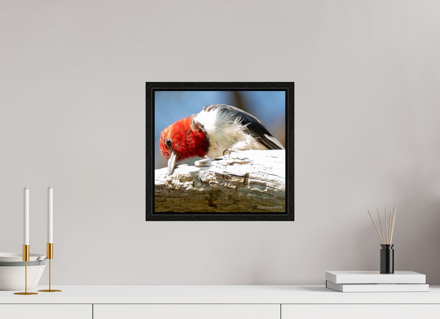 13 x 12″, Floater Frame Zillas Zoom Image 270