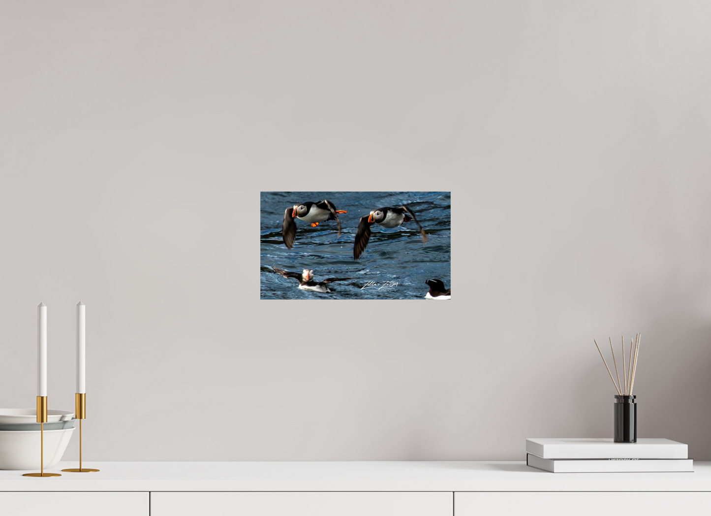 12 x 6.8″, Photo Print On Fuji Crystal DP II Zillas Zoom Image 340