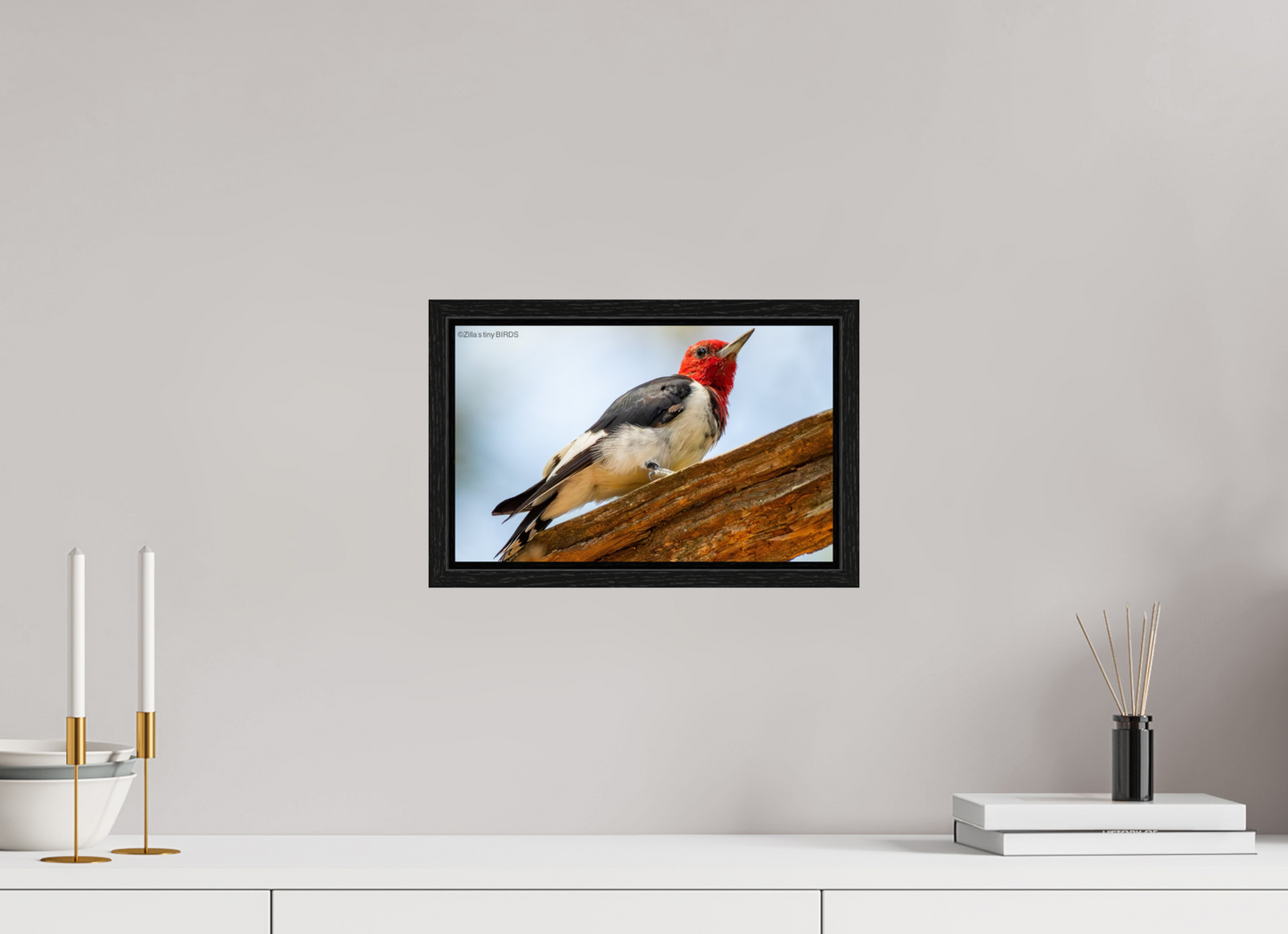 12.8 x 8″, Floater Frame Zillas Zoom Image 328