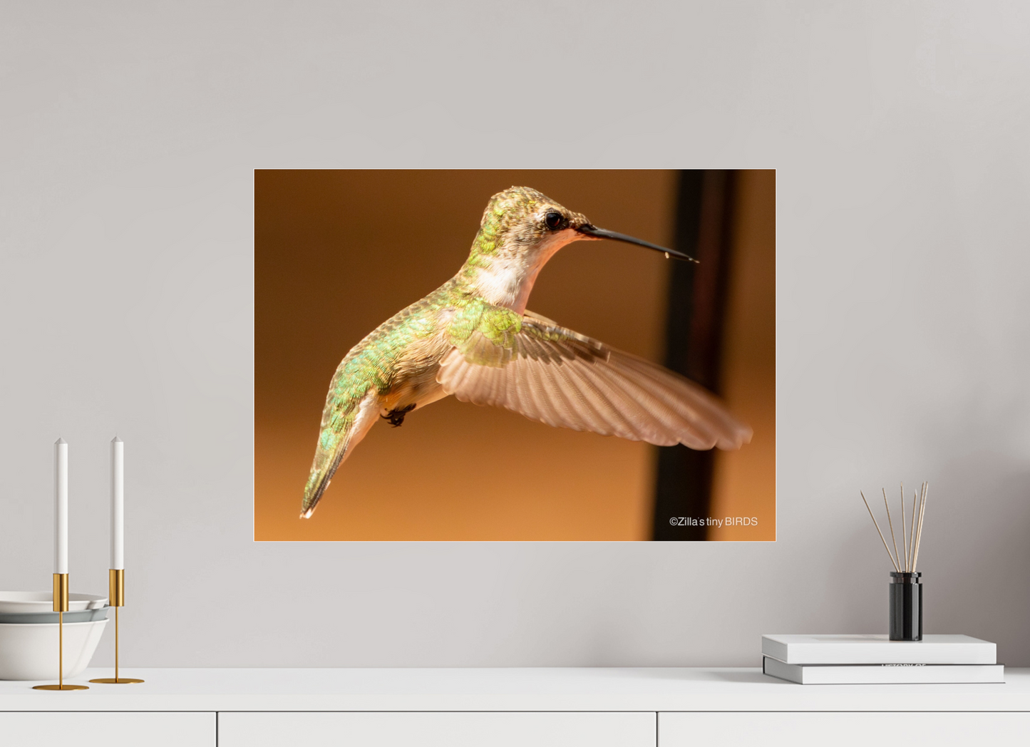 22.4 x 16″, Photo Print Under Acrylic Glass Zillas Zoom Image 351