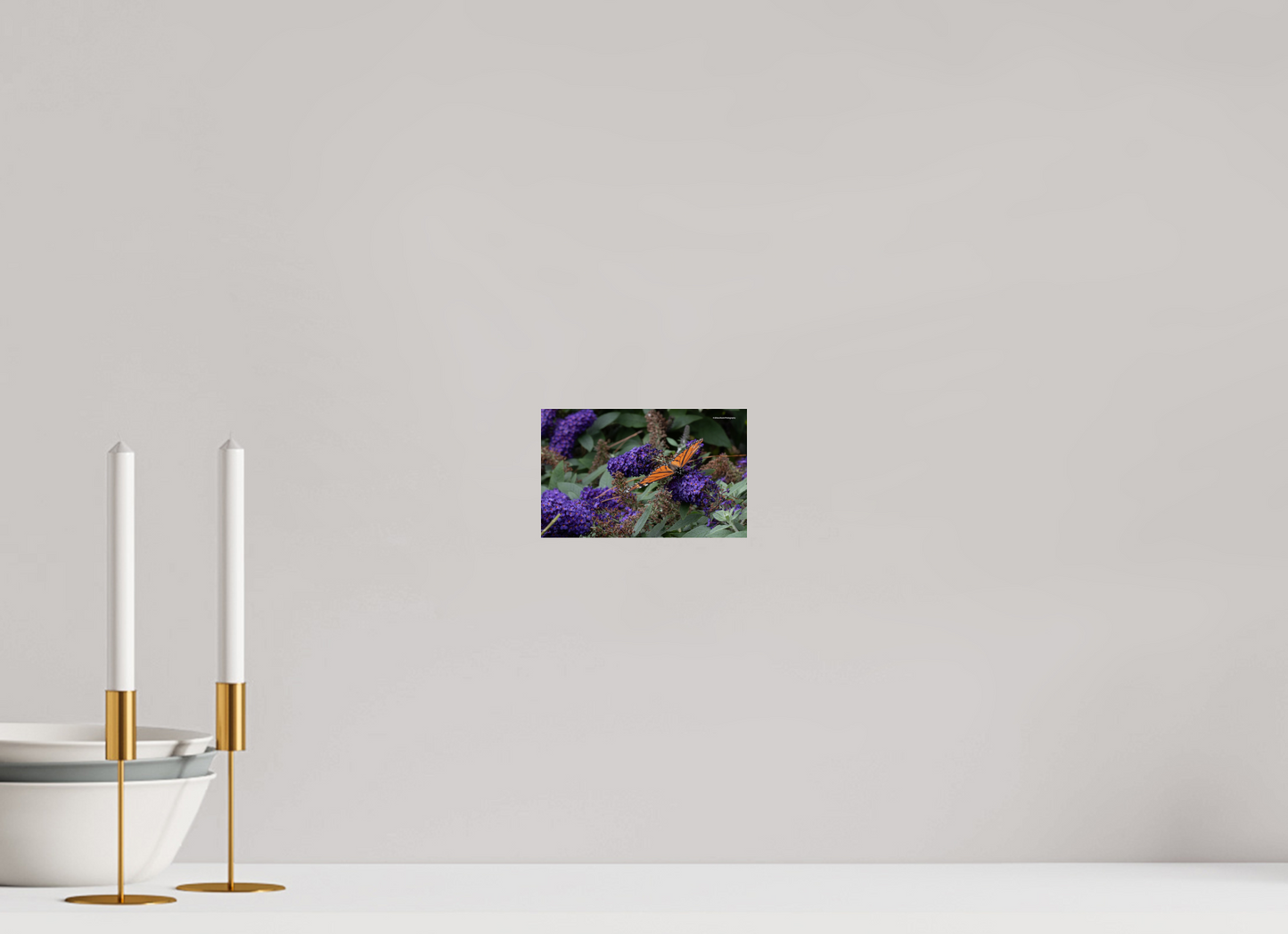 6.4 x 4″, Photo Print On Fuji Crystal DP II Zillas Zoom Image 58