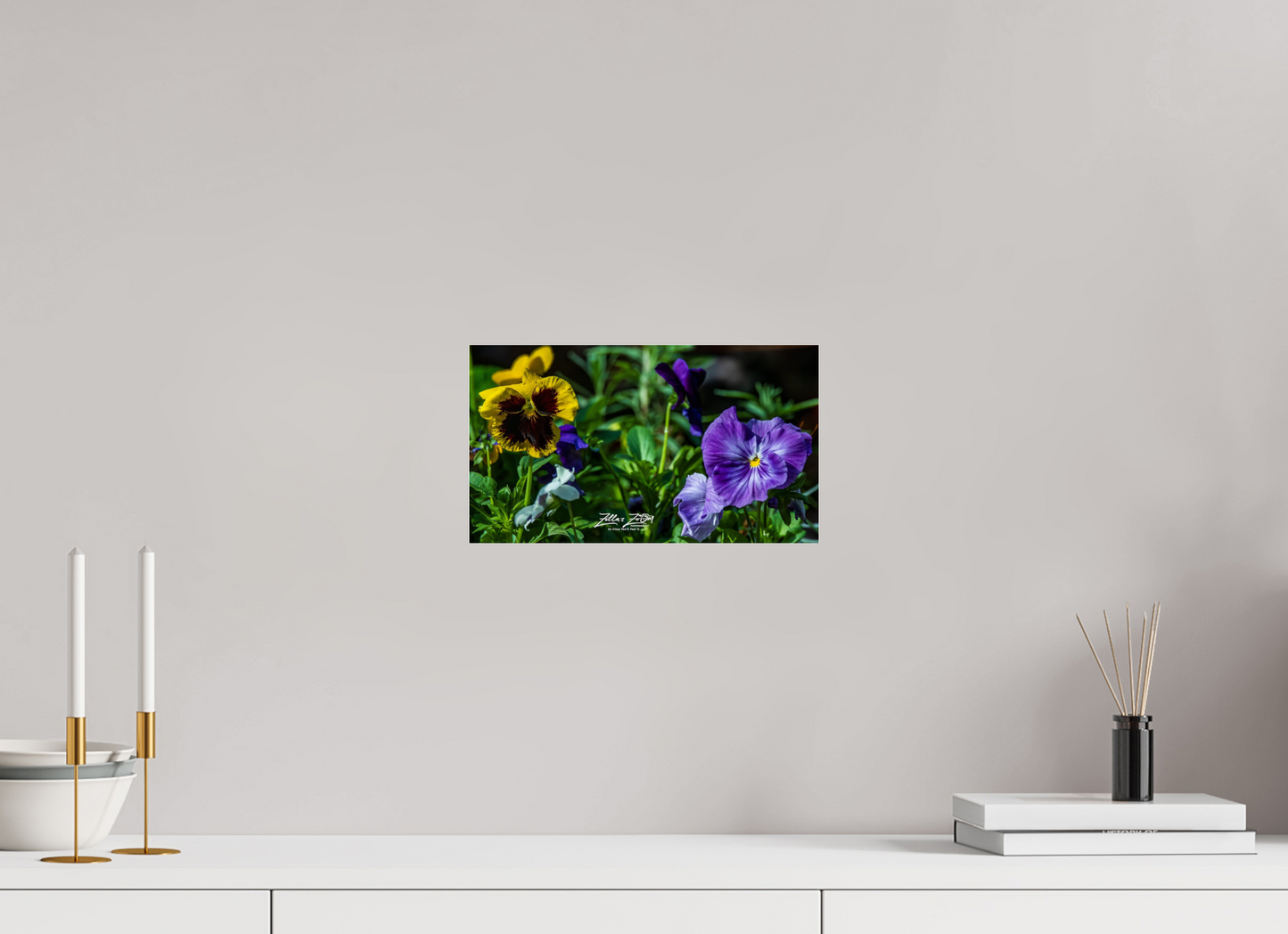 12 x 6.8″, Photo Print Under Acrylic Glass Zillas Zoom Image 91
