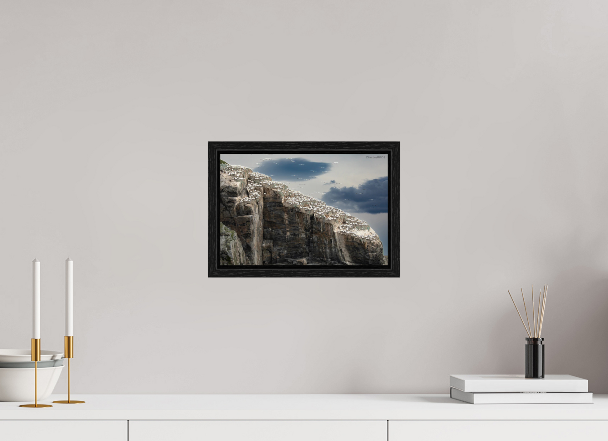 12 x 8″, Floater Frame Zillas Zoom Image 219