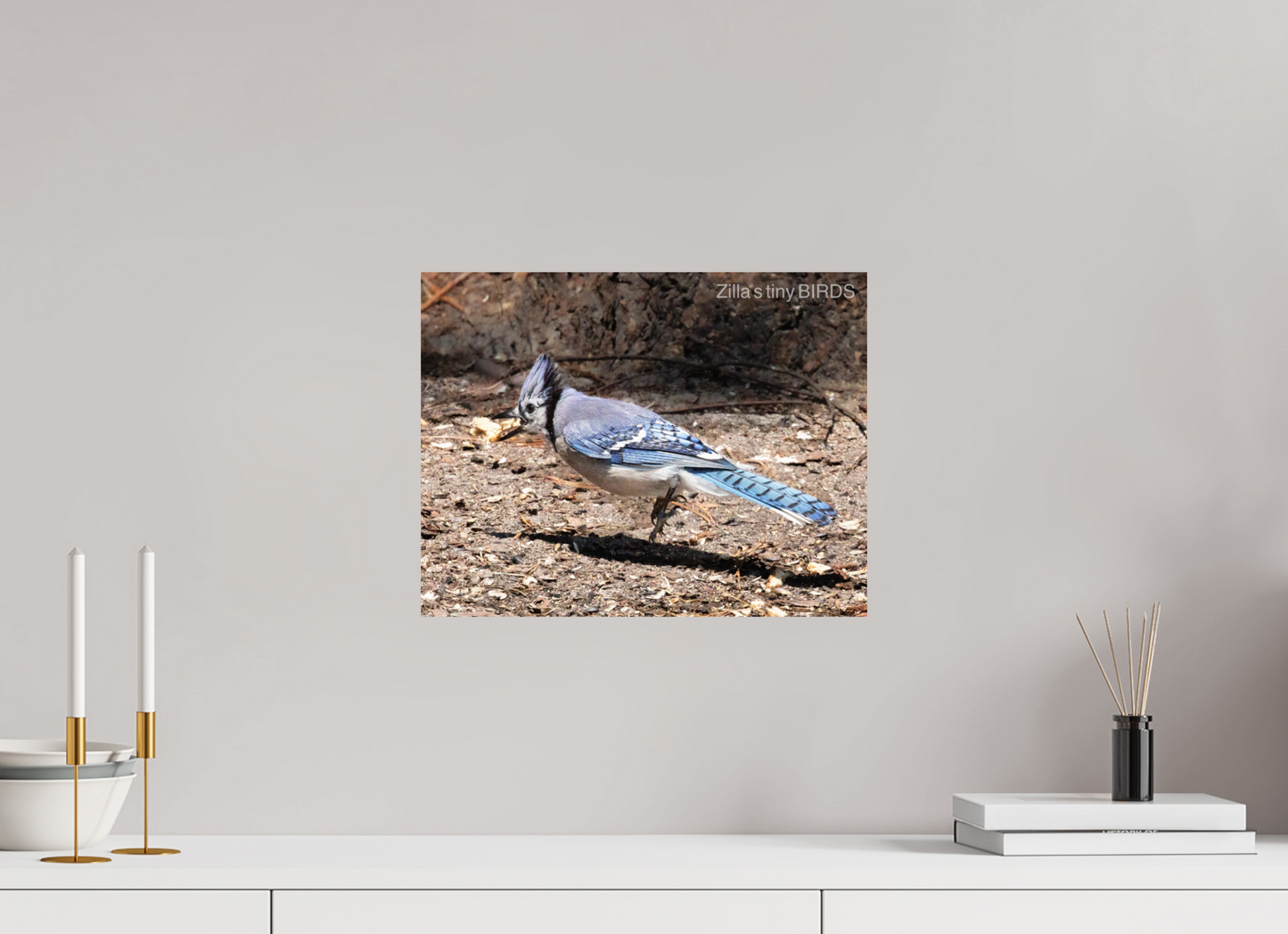 15.6 x 12″, Photo Print On Fuji Crystal DP II Zillas Zoom Image 381
