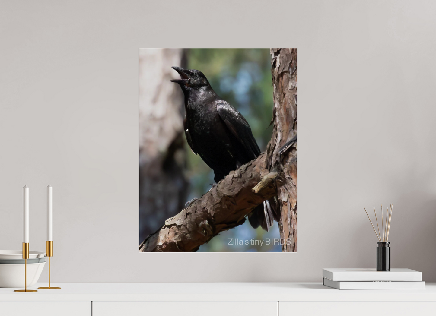 16 x 20.7″, Photo Print Under Acrylic Glass Zillas Zoom Image 498