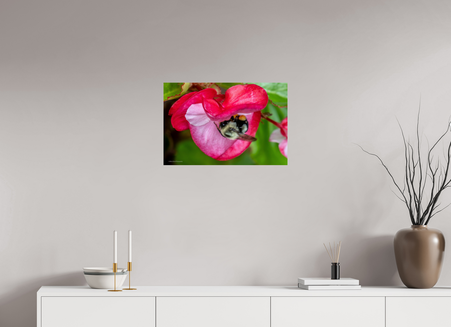 24 x 16″, Photo Print On Fuji Crystal DP II Zillas Zoom Image 101