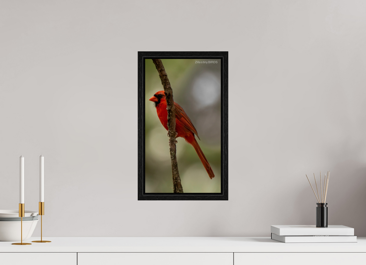 9 x 16″, Floater Frame Zillas Zoom Image 486