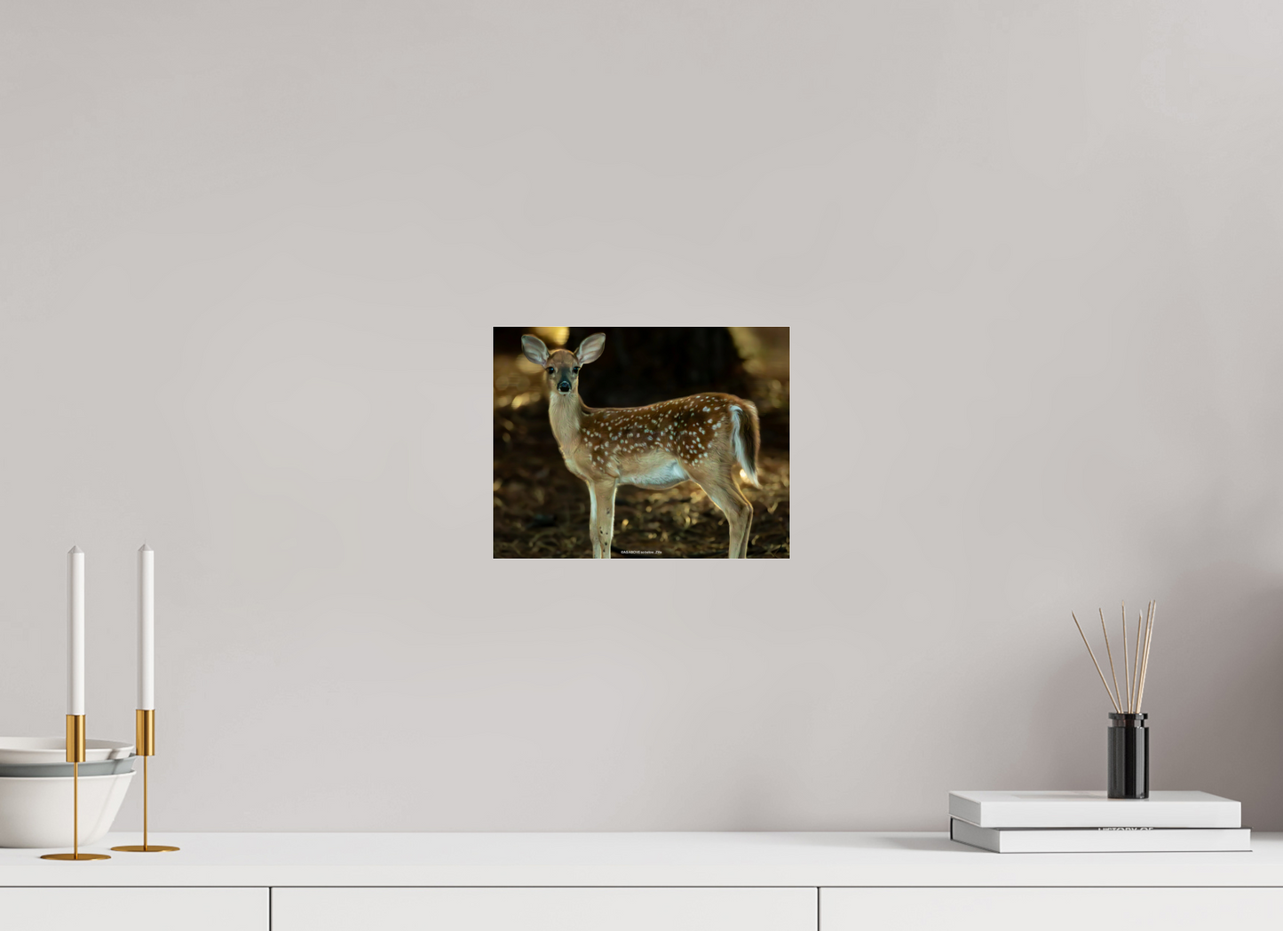 10.2 x 8″, Photo Print Under Acrylic Glass Zillas zoom image 140
