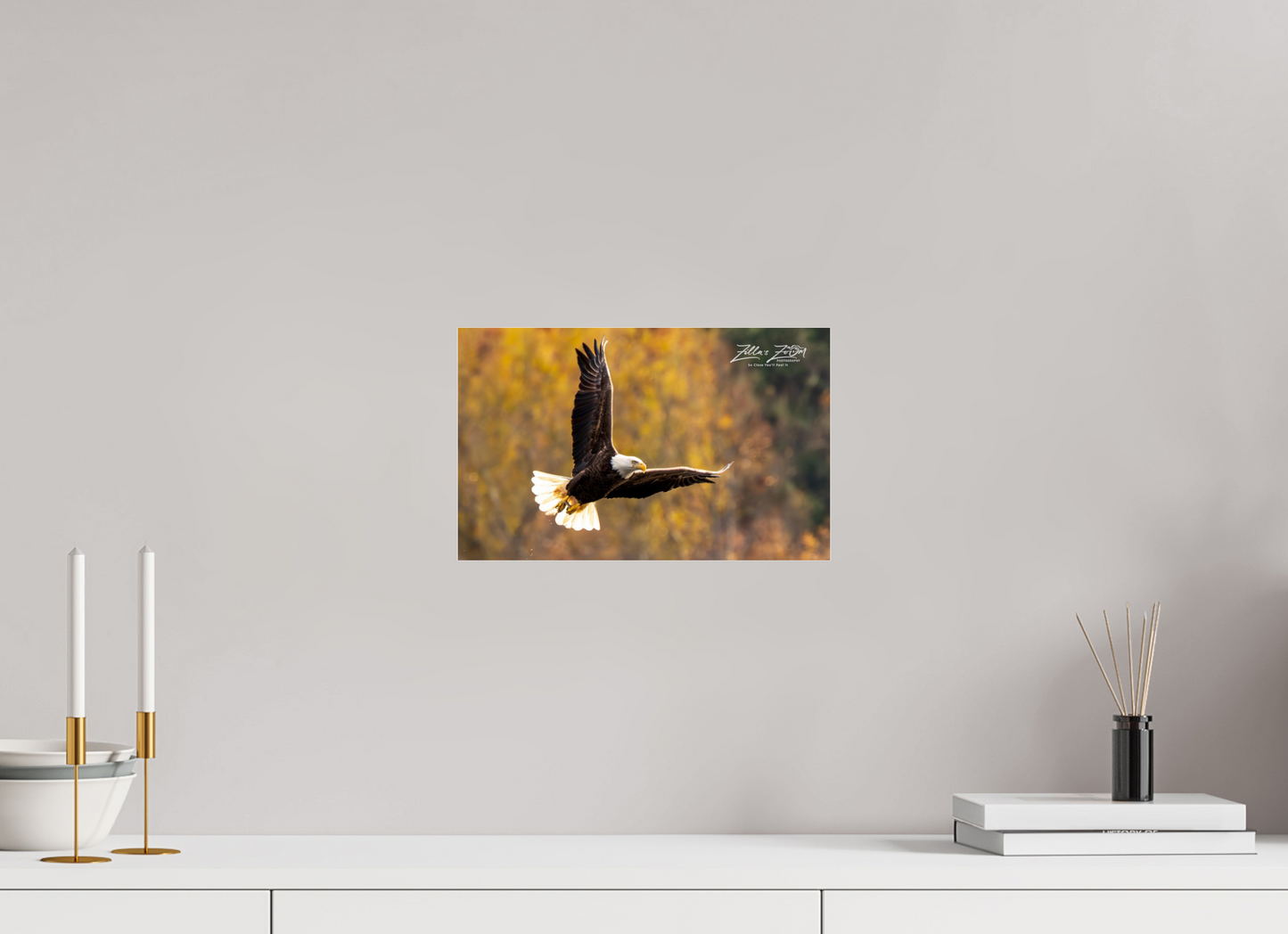 12.8 x 8″, Photo Print Under Acrylic Glass Zillas Zoom Image 272