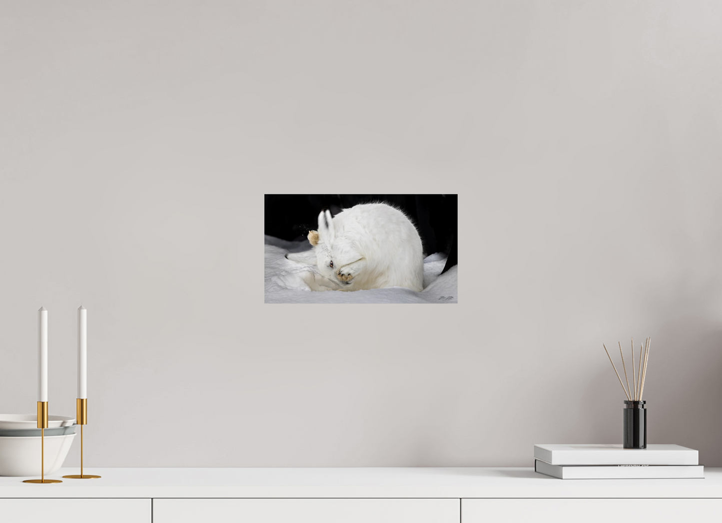 12 x 6.8″, Photo Print On Fuji Crystal DP II Zillas zoom image 142