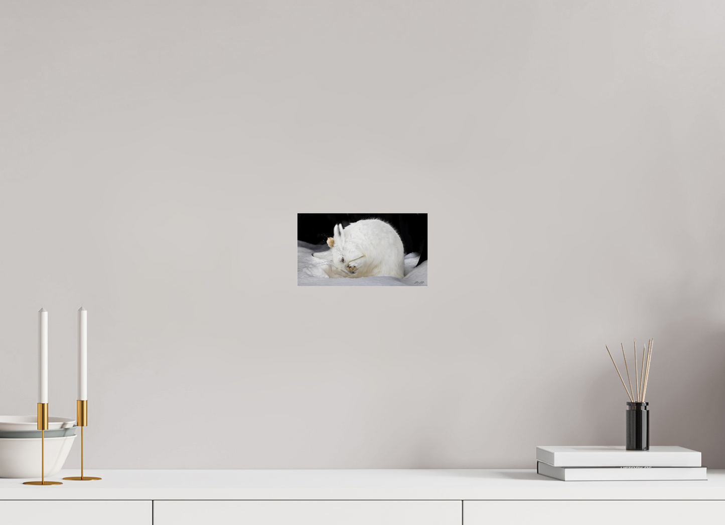 8 x 4.5″, Photo Print Under Acrylic Glass Zillas zoom image 142