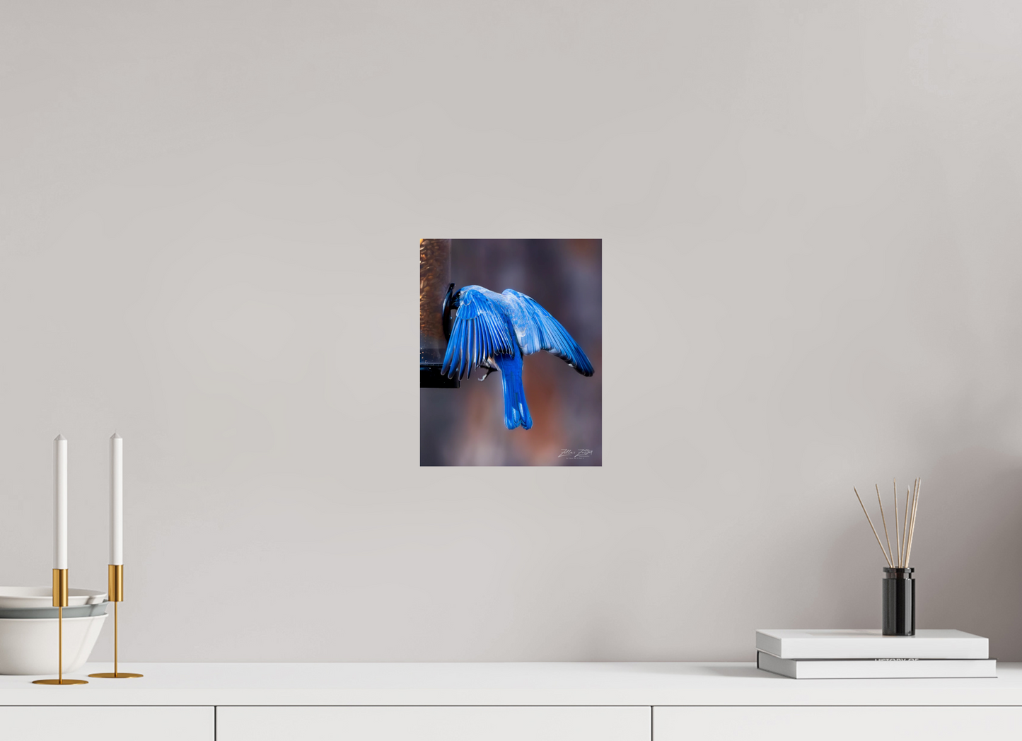8 x 10″, Photo Print On Fuji Crystal DP II Zillas Zoom Image 511
