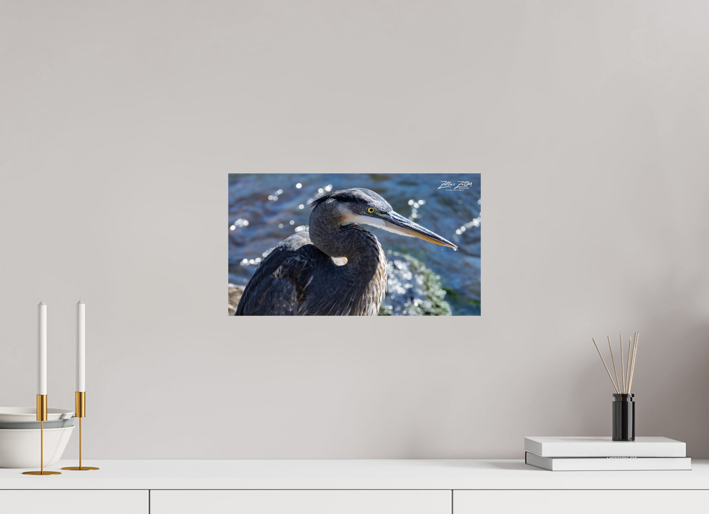 16 x 9″, Photo Print On Fuji Crystal DP II Zillas Zoom Image 343