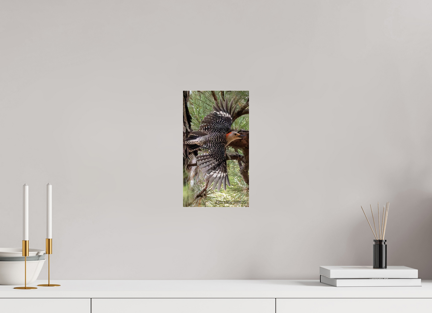 6.8 x 12″, Photo Print Under Acrylic Glass Zillas Zoom Image 477