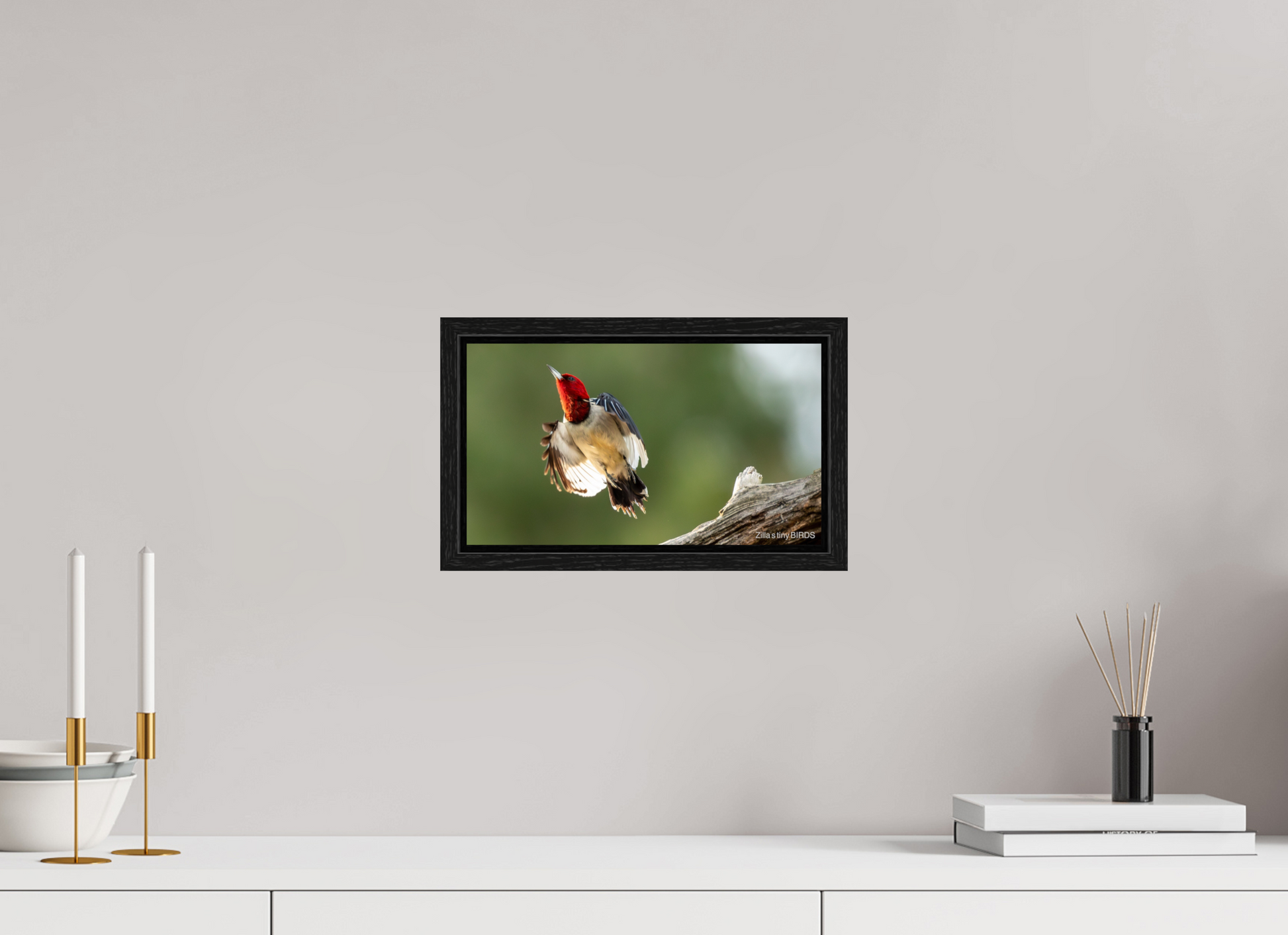 12 x 6.8″, Floater Frame Zillas Zoom Image 374