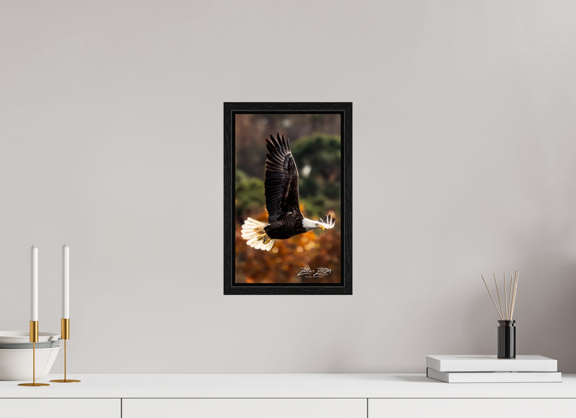 8 x 12.8″, Floater Frame Zillas Zoom Image 415