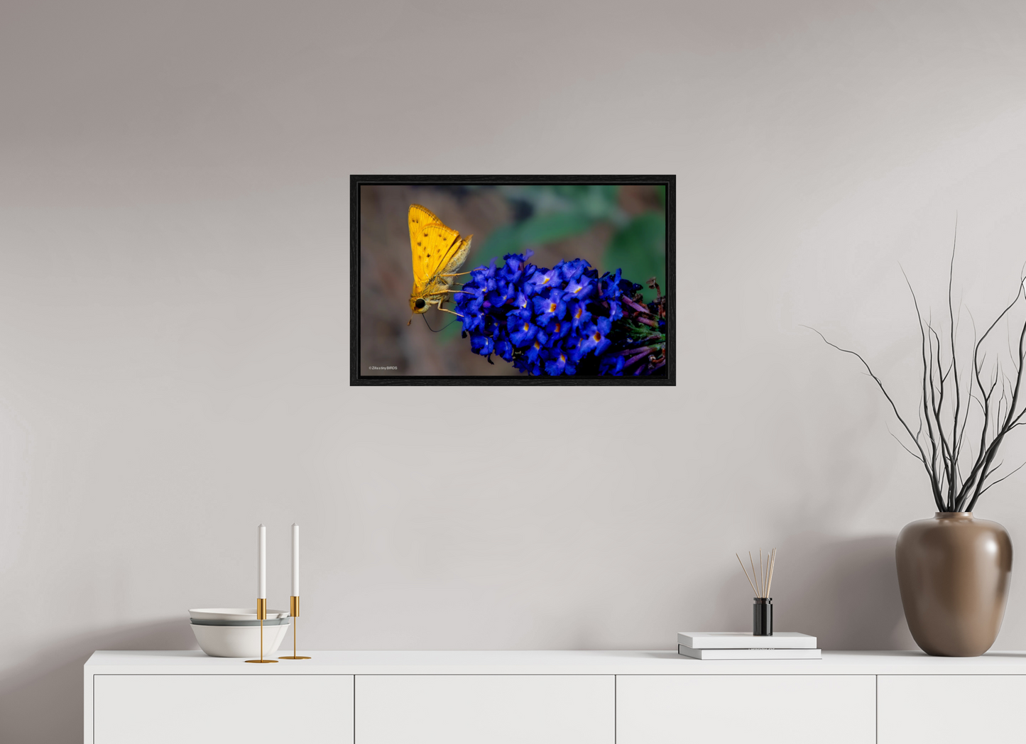 25.6 x 16″, Floater Frame Zillas Zoom Image 61