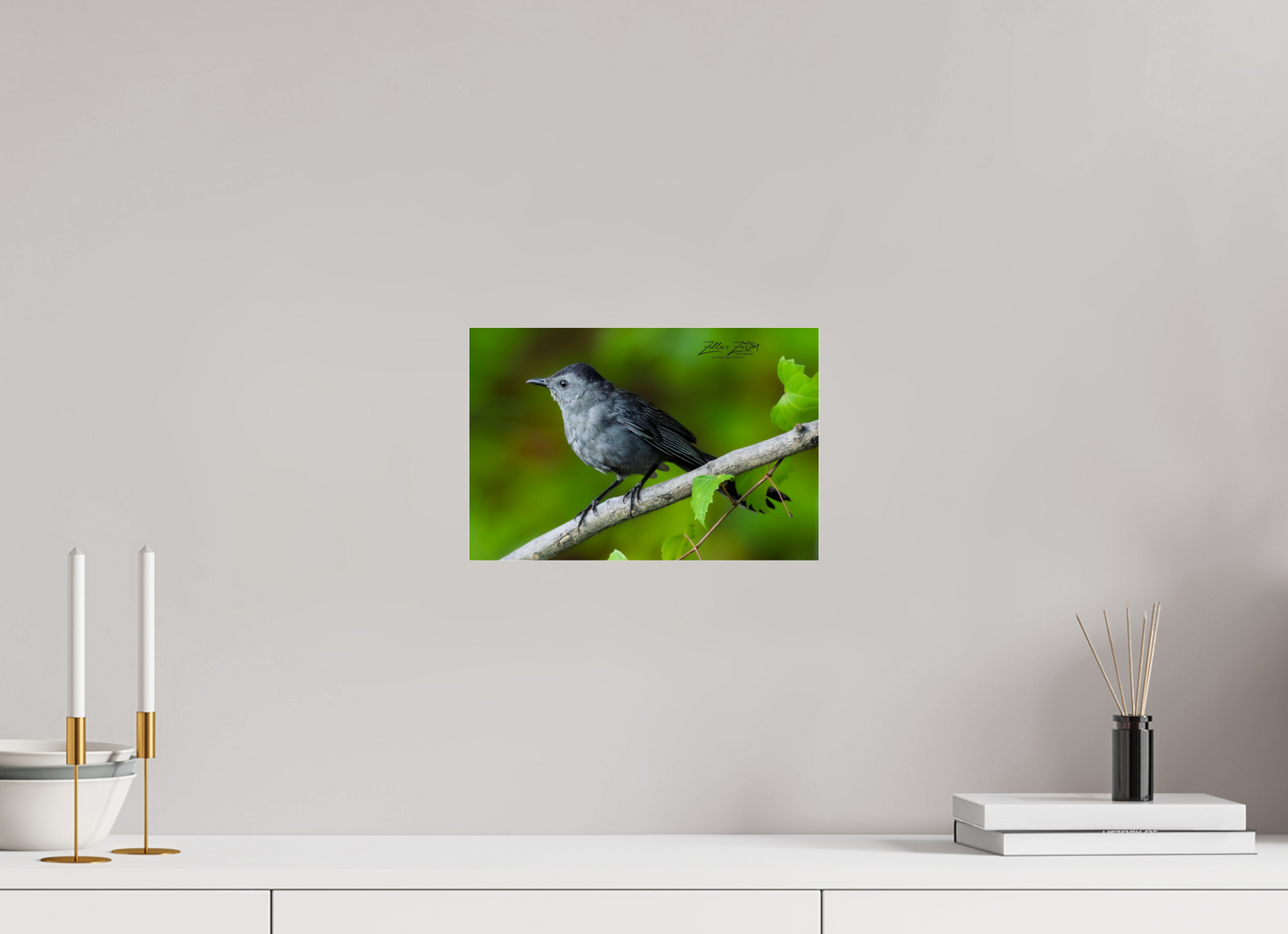 12 x 8″, Photo Print Under Acrylic Glass Zillas Zoom Image 302