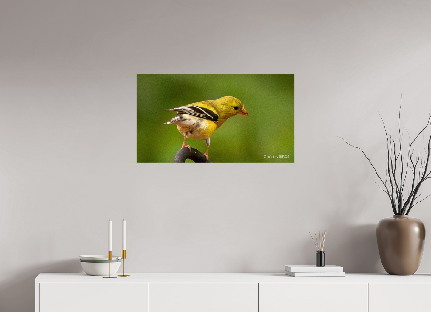 32 x 18″, Photo Print On Fuji Crystal DP II Zillas Zoom Image 380