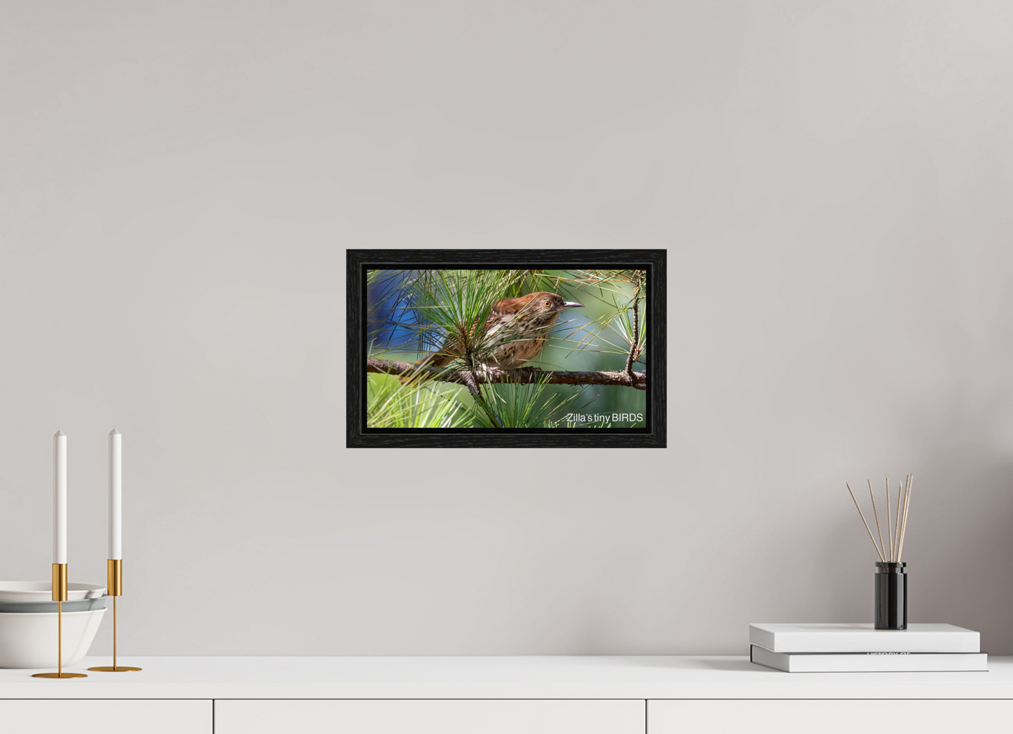 12 x 6.8″, Floater Frame Zillas Zoom Image 379