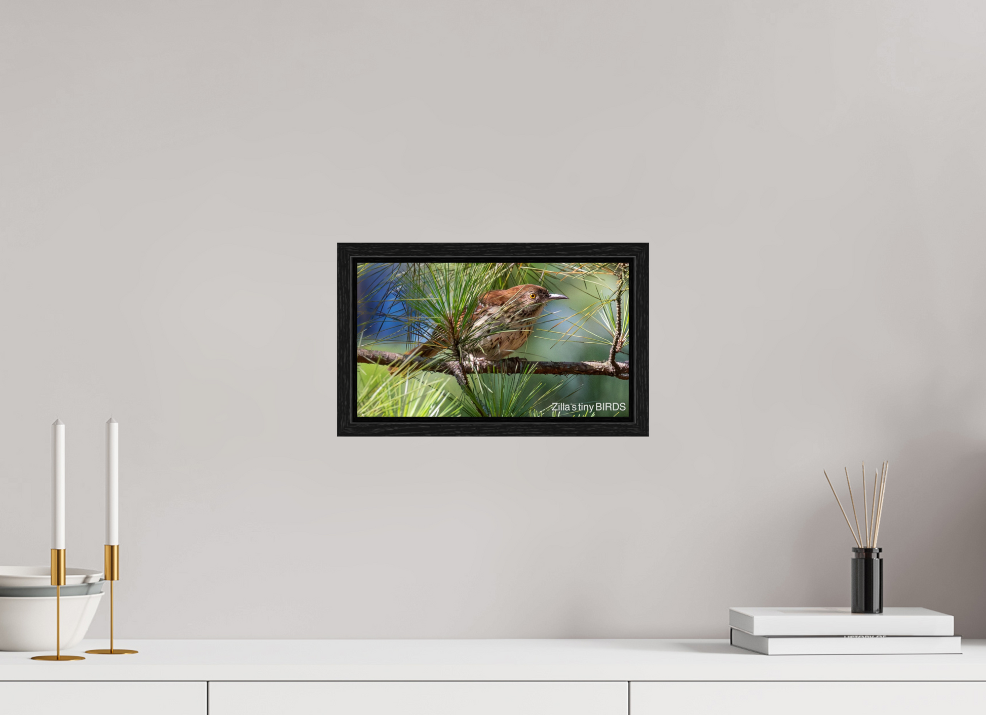 12 x 6.8″, Floater Frame Zillas Zoom Image 379