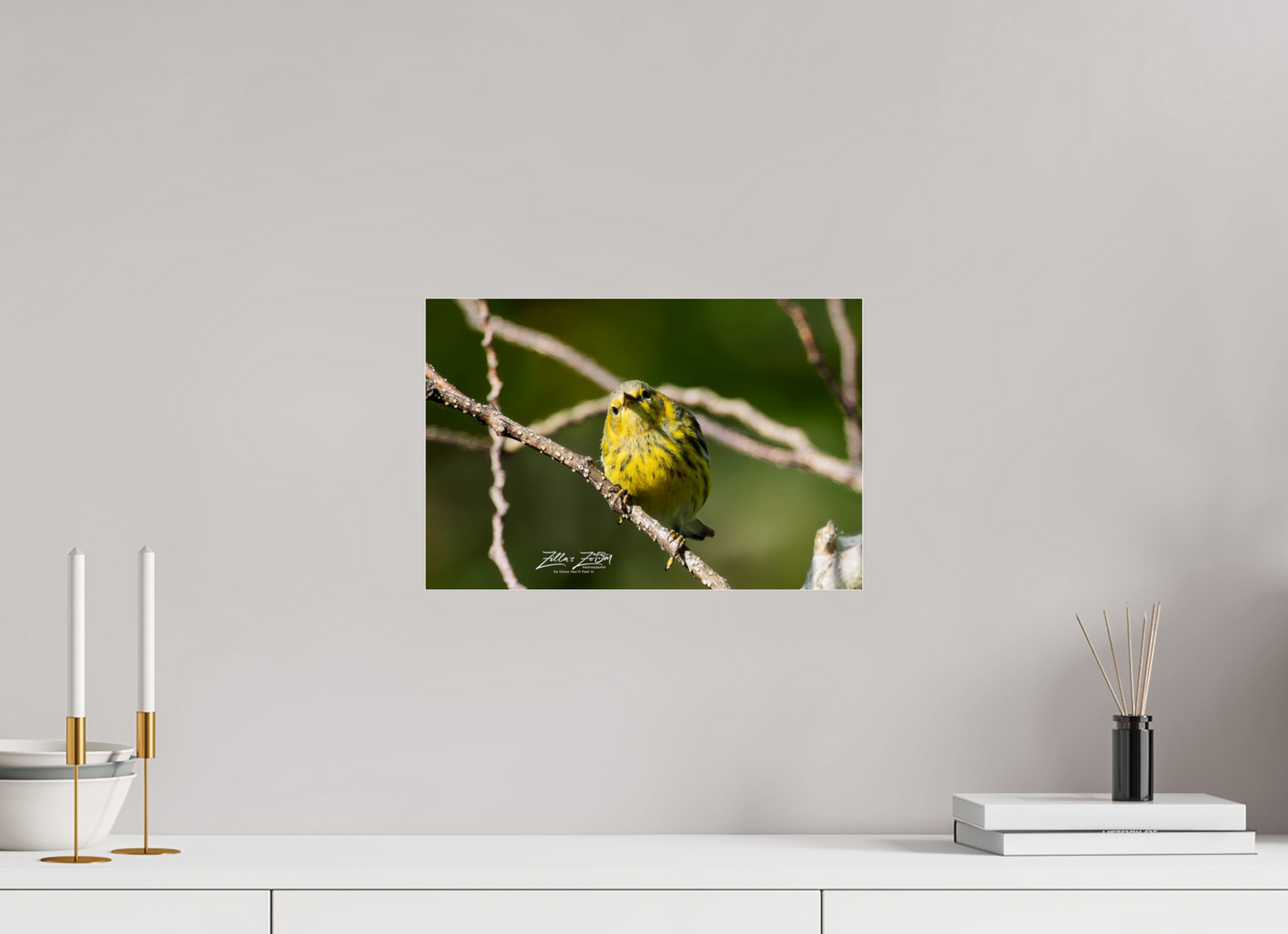 15 x 10″, Photo Print Under Acrylic Glass Zillas Zoom Image 307