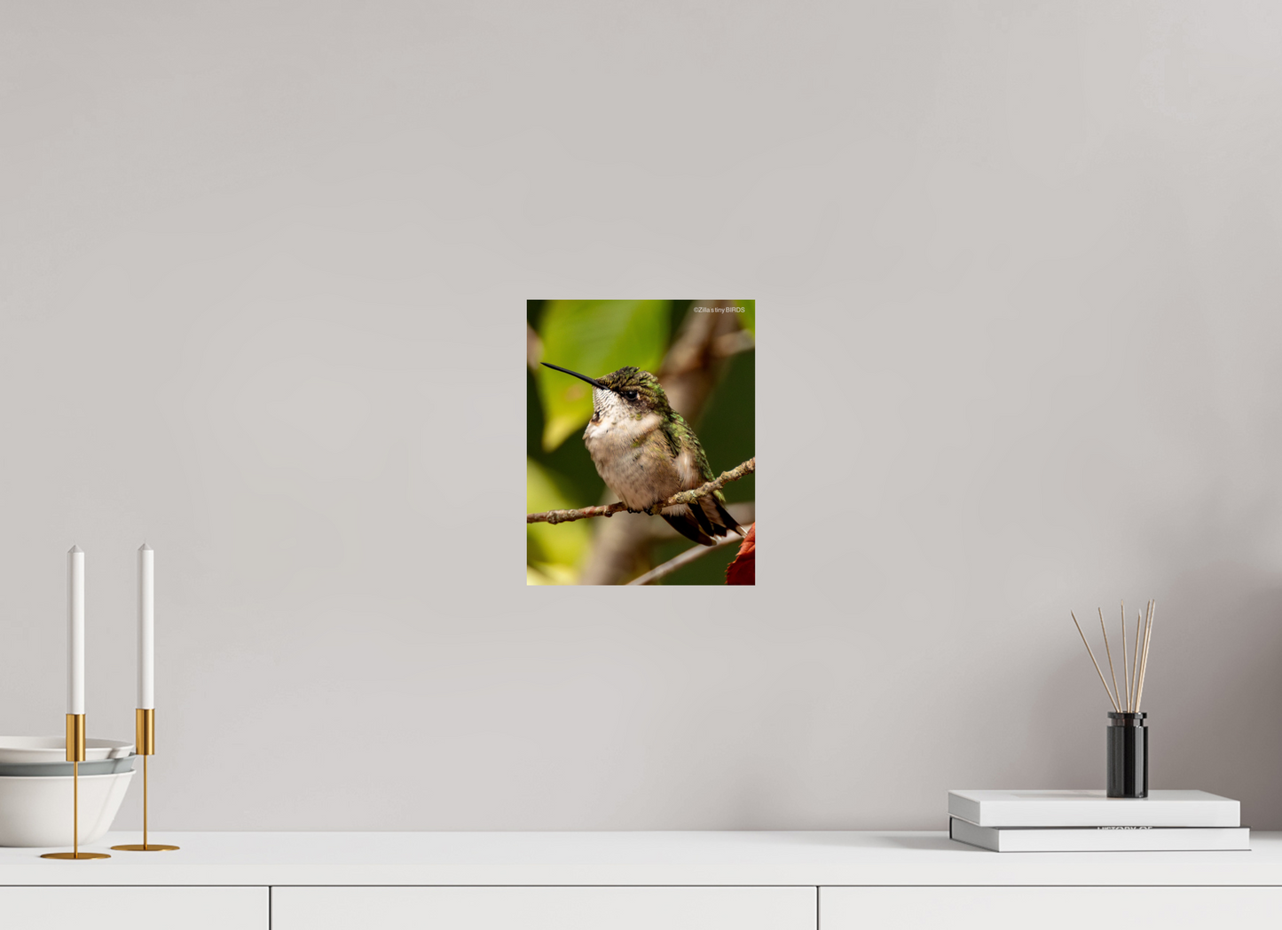8 x 10″, Photo Print On Fuji Crystal DP II Zillas Zoom Image 515