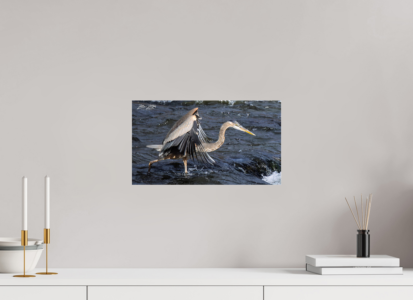 16 x 9″, Photo Print Under Acrylic Glass Zillas Zoom Image 284