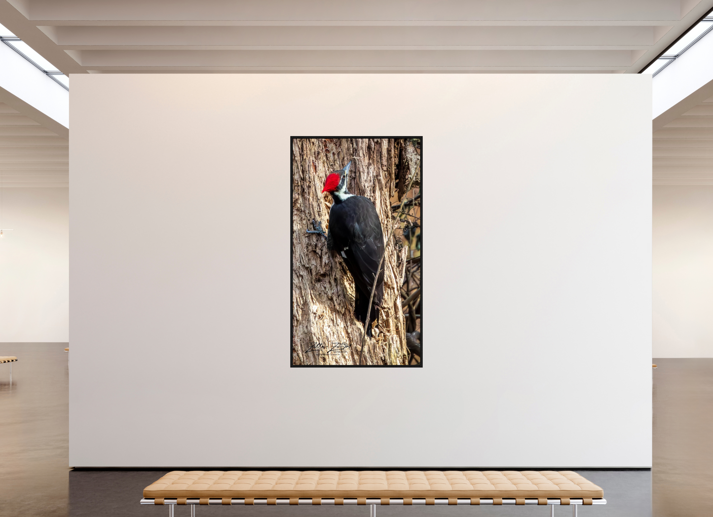 45 x 80″, Floater Frame Zillas Zoom Image 425