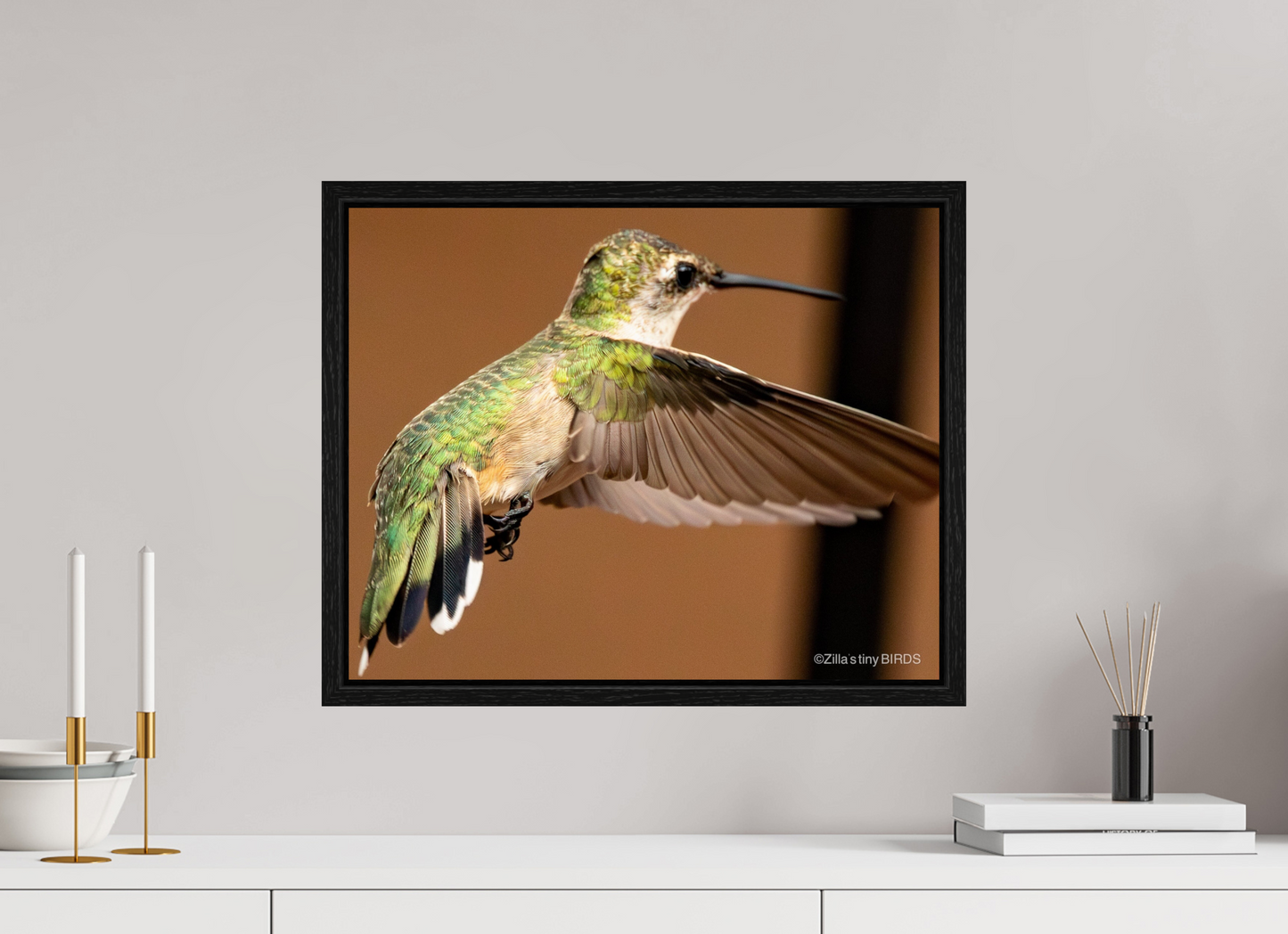 20 x 16″, Floater Frame Zillas Zoom Image 336