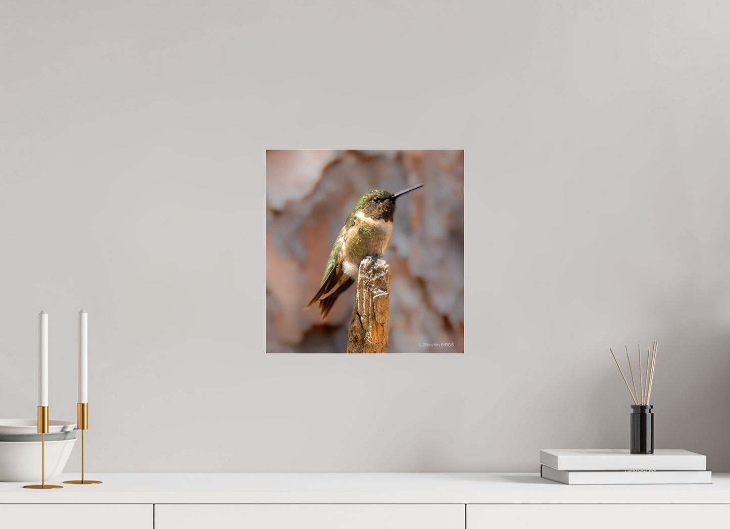 12 x 12.4″, Photo Print Under Acrylic Glass Zillas Zoom Image 450
