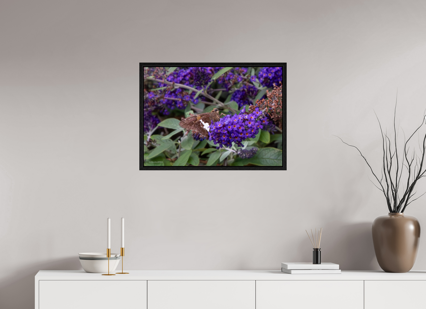 28 x 20″, Floater Frame Zillas Zoom Image 60