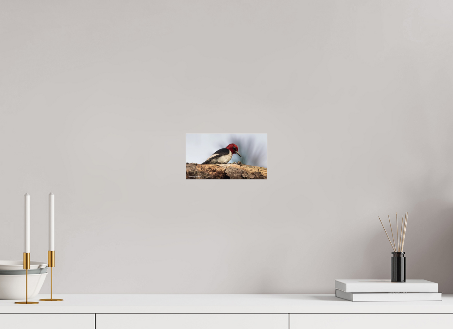 8 x 4.5″, Photo Print Under Acrylic Glass Zillas Zoom Image 391